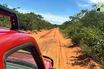 After the Footsteps of the Jaguar 3-Day Kaa Iya Expedition