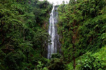 Materuni Waterfall Coffee Plantation Tour and Chemka Hot Spring