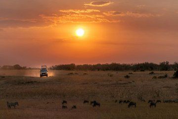 3 Days Masai Mara Wildlife Safari with Park Fees Included