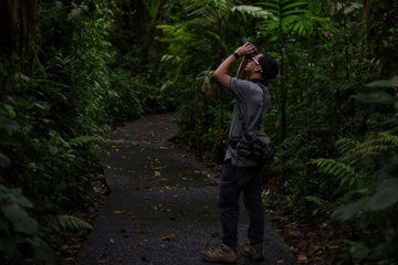 Monteverde Nature Walk in Cloud Forests and Wildlife