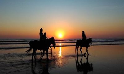 Sunset Private Horseback Riding at Kedungu Beach in Bali