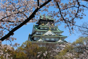 Customizable Private Tour in Osaka Nara Kobe and Kyoto