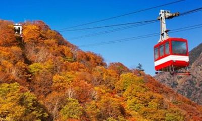 From Tokyo Private Nikko Shrines and Nature Day Tour