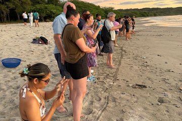 La Flor Beach Natural Reserve Bus Tour