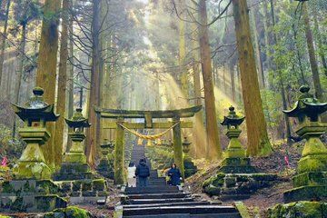 Kyushu Tour to Takachiho Gorge, Kamishikimi Kumanoza and Shrine