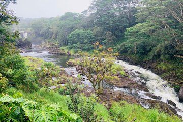From Hilo Waterfalls and Mauna Kea Visitor Center Experience