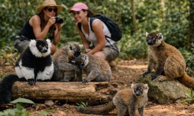 3 Days Andasibe Mantadia Private Tour
