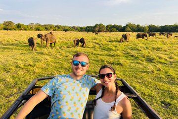 Minneriya National Park Private Jeep Safari with Elephant Viewing