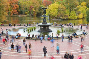 New York City Tour in One Day Central Park and 9 of 11 and Ferry Statue