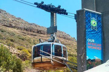 Robben Island and Table Mountain Private Tour