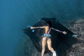 Bali Nusa Penida Manta Point Snorkeling with Land Tour