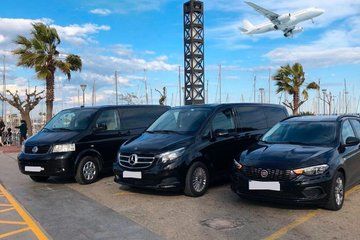 Venice Airport (VCE) to Venice (+water taxi) - Private Transfer