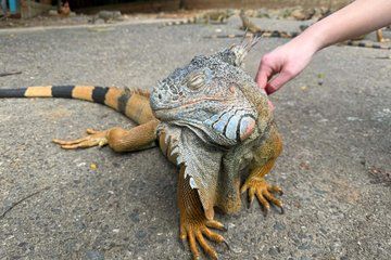 Fun Day Saturday and Sunday Full Day Tour