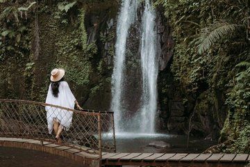 Best of Ubud Day Tour: Monkey Forest, Hidden Waterfall & Temple