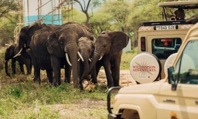 5 Days Big 5 Safari Tanzania