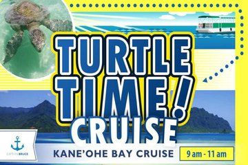 Turtle Time Cruise at Kaneohe Bay Sandbar
