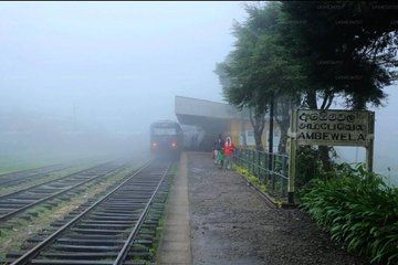 Tour from Kandy to Ambewela with Local Insights