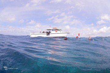2 Tank Guided Boat Diving Trip to Eastpoint, Curaçao