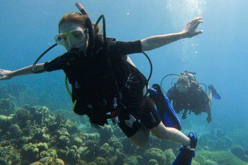 Personalized Refresher Dive in Curaçao