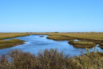 Ria Formosa Natural Park Birdwatching Salt Pans Walking Tour