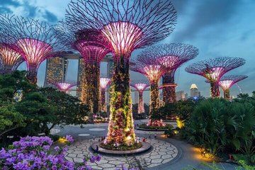 Singapore Gardens by the Bay Admission Tickets with options