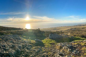 Private Sonoma Hidden Gems Redwoods Coast and Artisan Picnic