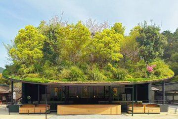 Dazaifu Tenmangu, Yufuin Onsen and Beppu Ropeway Day Tour