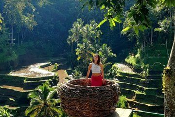 Best Ubud Highlight Waterfall All Inclusive