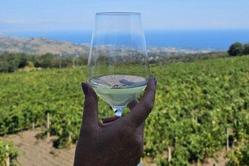 Etna Tour Silvestri Craters Tasting 4 Wines Lunch in the Cellar