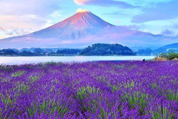 Mount Fuji 5th Station Trip with Lake Kawaguchi and Yamanaka