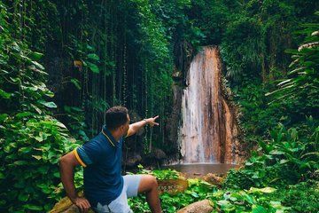Soufriere Botanical Gardens and Mud Baths Tour with Lunch