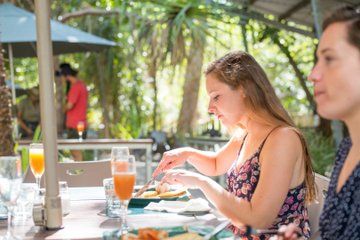 Breakfast with Koalas Experience on Magnetic Island