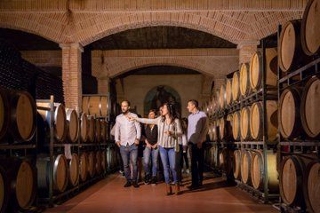 Alicante Winery guided tour with 6 tastings and a gift