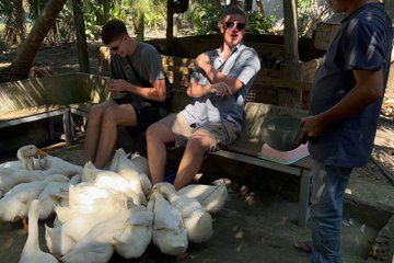 Authentic Mekong Moments: Farm, River & Village Life