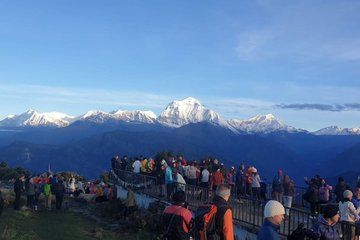 Poon Hill Ghorepani Trek from Kathmandu 7 Day Annapurna Adventure