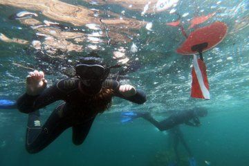Snorkeling departures by boat in Madeira