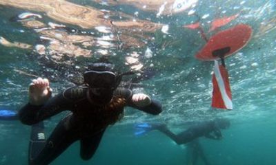 Snorkeling departures by boat in Madeira