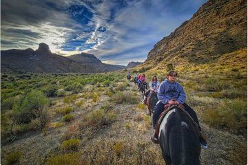 Wild Horseback Excursion in Little Bookcliff