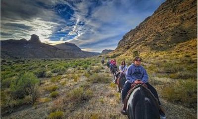 Wild Horseback Excursion in Little Bookcliff