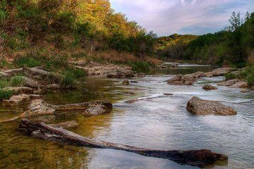 Dinosaur Valley State Park Full-Day Adventure from Dallas