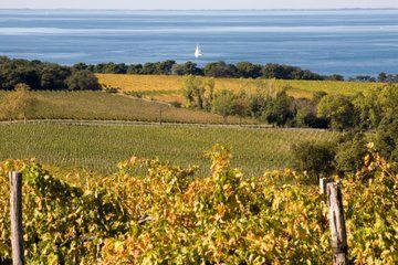 Multiday E-bike Adventure to the Peaks of Istria and Karst