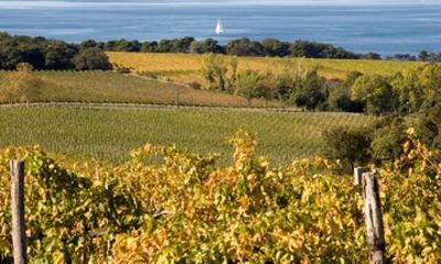Multiday E-bike Adventure to the Peaks of Istria and Karst