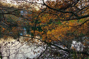 Hampstead Village and Heath Tour