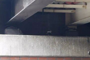 Manchester an Audio Guide to the City Rebirth and Renewal