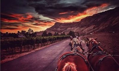 Horse Drawn Sunset Tour in Colorado