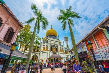3H Chinatown, Little India, Arab Street Walking Tour in SPANISH