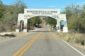 Half Day Tequila Distillery Tour
