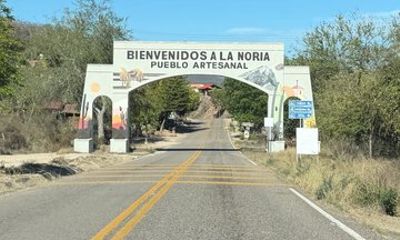 Half Day Tequila Distillery Tour