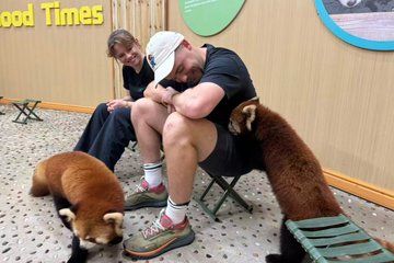 Dujiangyan Giant Panda and Red Panda Experience