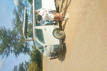 Nairobi National Park Half Day Tour with Options